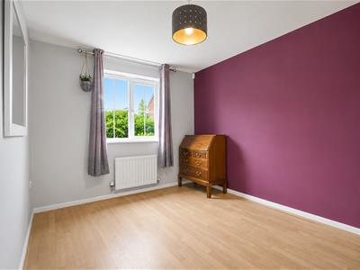 Picture 15